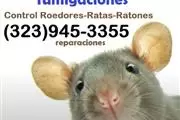 RODENTS PEST CONTROL SERVICES.