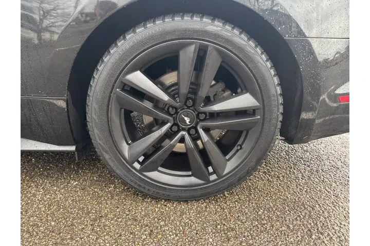 $10995 : 2015 Mustang EcoBoost image 10