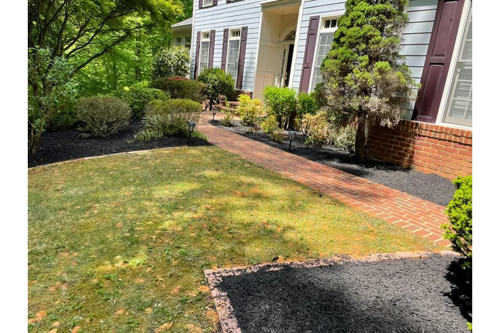 🌳HIDALGO LANDSCAPING SERVICES image 3