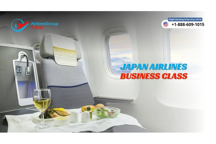 Japan Airlines Business Class image 1