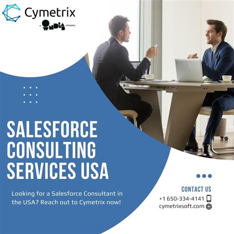 Salesforce Consulting Services image 1