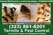 Bed Bugs-Termite-Roaches-Fleas thumbnail