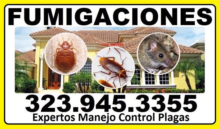 👉PLAGAS EN TU HOGAR O NEGOCIO image 1