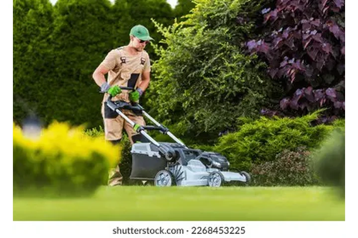 🦺Requerimos contratista🦺 image 2