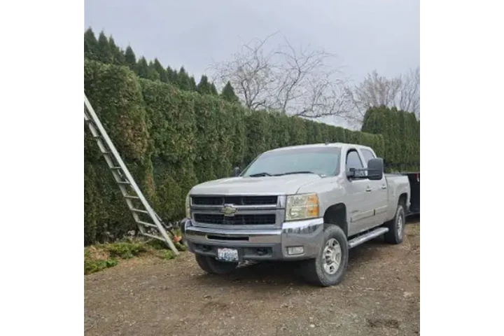 SERVICIO DE JARDINERÍA image 3