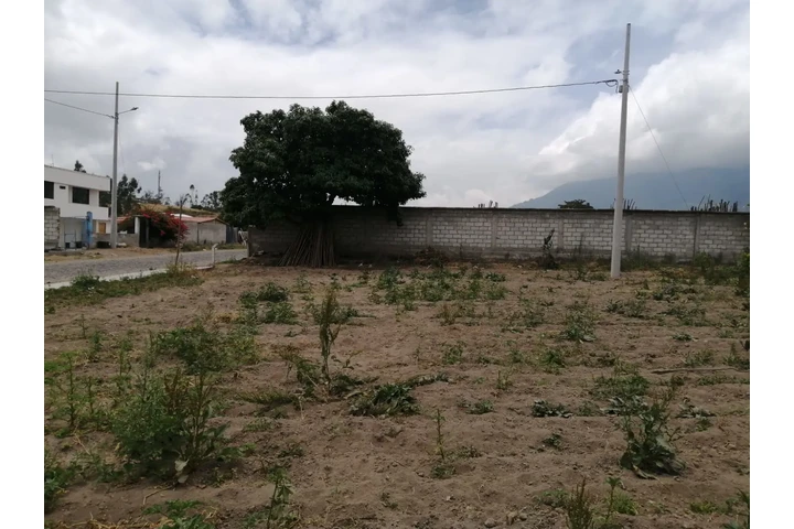 $30000 : Venta de terreno image 4