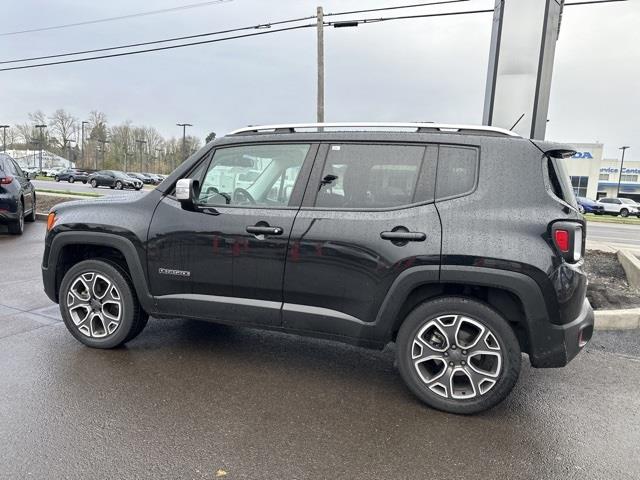 2015  Renegade Limited image 3