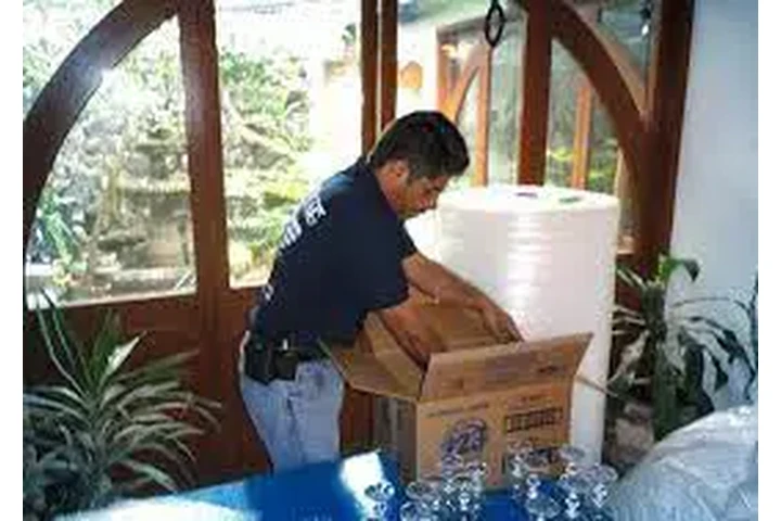 MOVING / MUDANZAS image 6