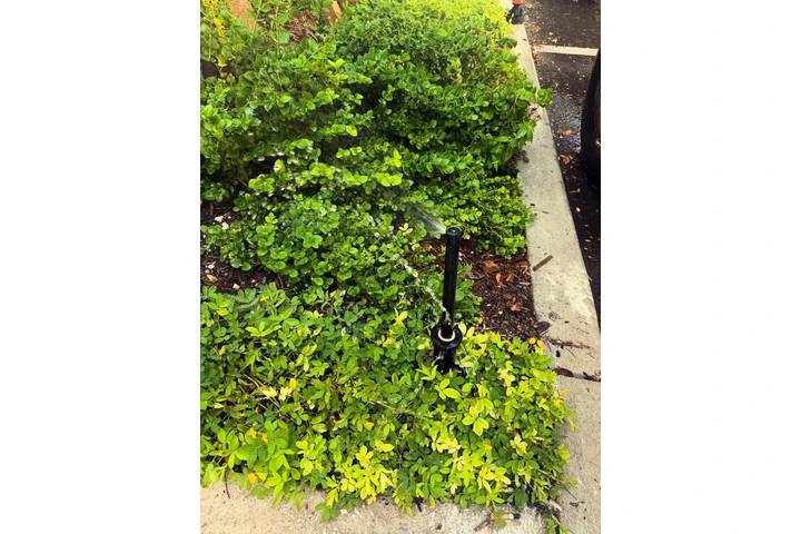 Smart Irrigation Specialists image 2