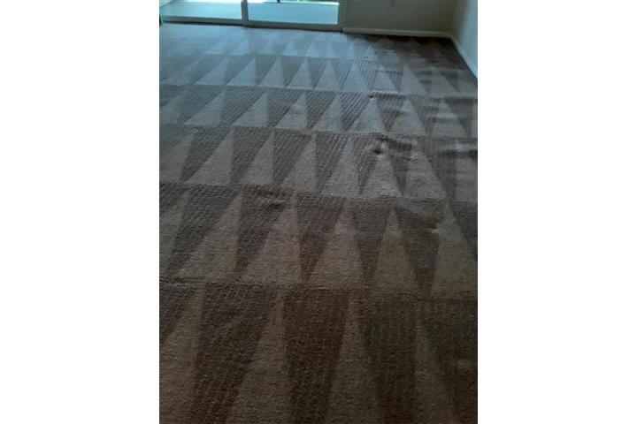 Master Clean Carpet image 2