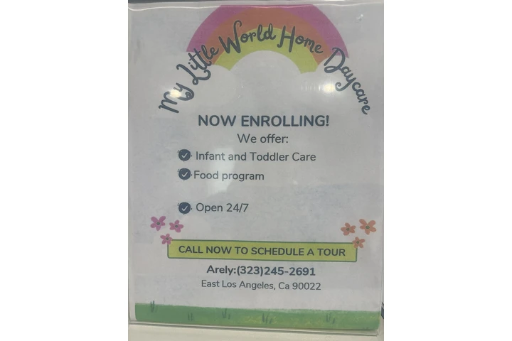 Mi Little World image 1