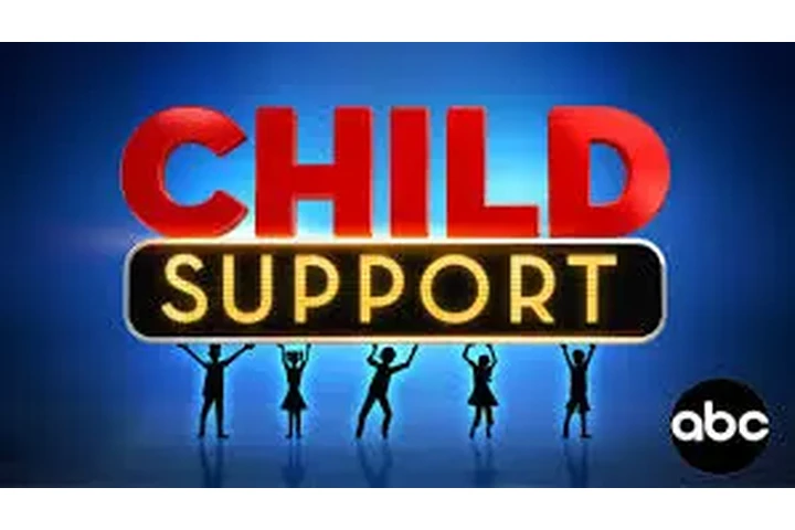 CHILD SUPPRT SE AREGLA EL PAGO image 1