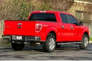 $15818 : Ford F-150 2013 4x4 XLT 4dr thumbnail