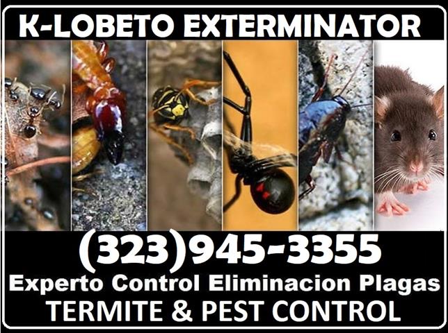 PEST CONTROL 24-7 EXTERMINATOR image 2