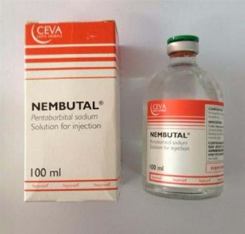 Nembutal pentobarbital image 1