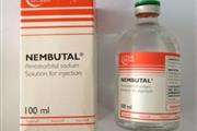 Nembutal pentobarbital en Guayama