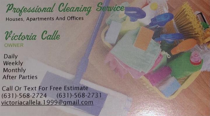 Professional Cleaning Service image 1