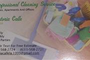 Professional Cleaning Service thumbnail 1