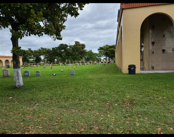 Lote de Cementerio Graceland S image 3