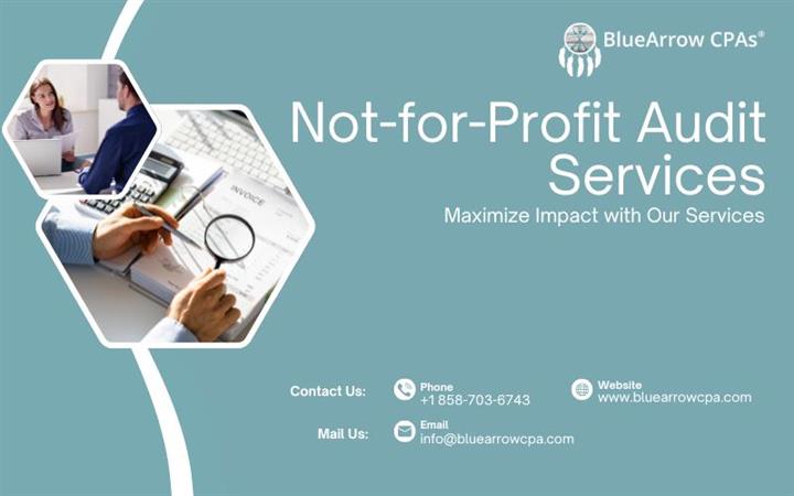 Not-for-Profit Audit Services image 1