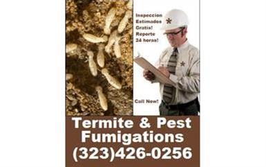 Termitas-Subterraneas-Drywood image 1