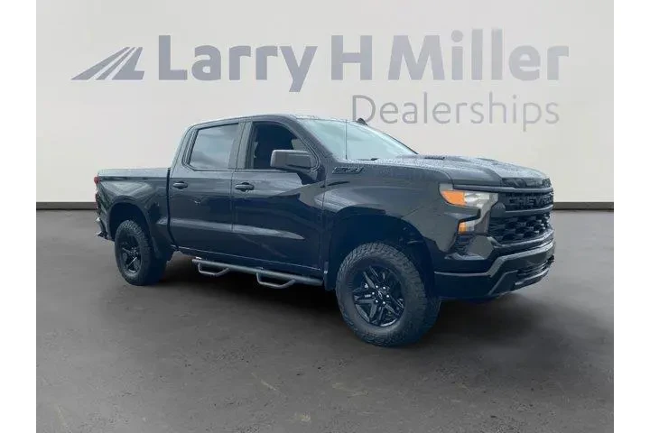 Chevrolet Silverado 1500 202 image 7