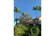 Alex Tree Services thumbnail