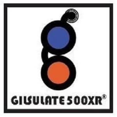 Gilsulate International, Inc. image 1