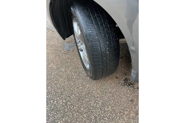 $10999 : 2013 Pilot EX-L w/DVD image 9