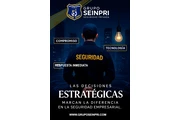 GRUPO SEINPRI DE MEXICO S.A. thumbnail