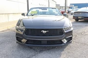 $27488 : 2024 Mustang EcoBoost Premium thumbnail