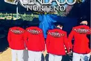 ACENDADO NORTEÑO thumbnail