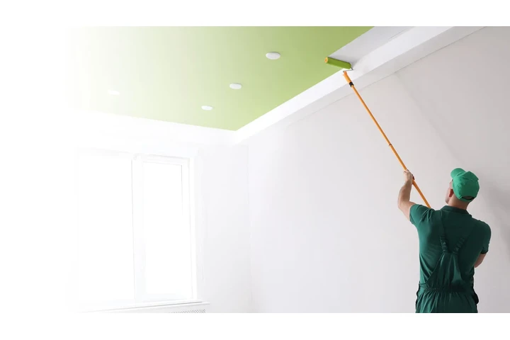 House Painter image 4