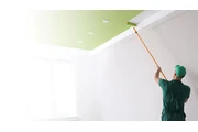 House Painter thumbnail 4