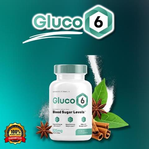 GLUCO 6, Blood Sugar Support image 1