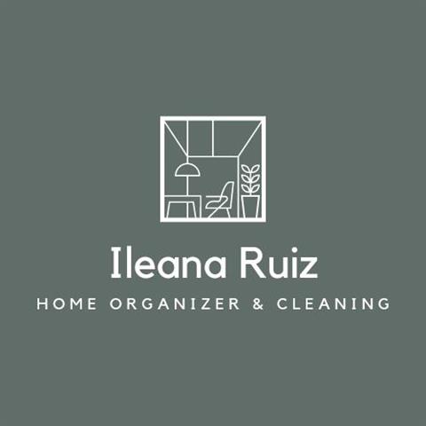 Ileana Ruiz Home Organizer & C image 1