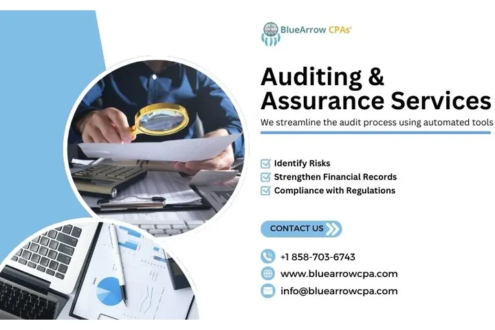 Auditing & assurance services image 1