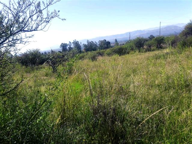 $12500 : Terreno en venta 500m² Tarija image 3