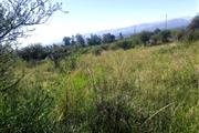 $12500 : Terreno en venta 500m² Tarija thumbnail