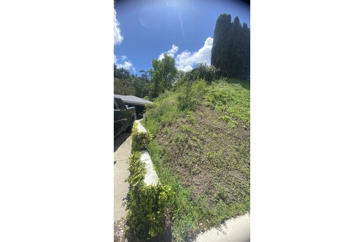 Servicio de jardinería image 1