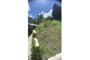 Servicio de jardinería en Los Angeles