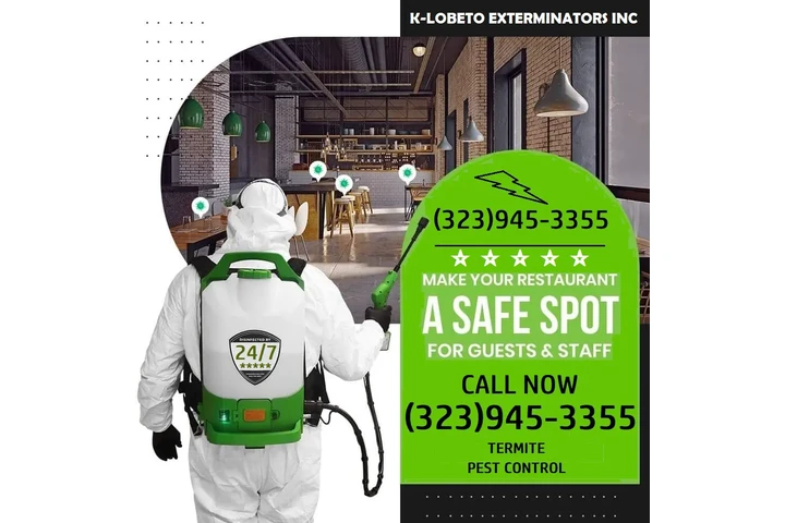 PEST CONTROL SERVICES 24/7.- image 3