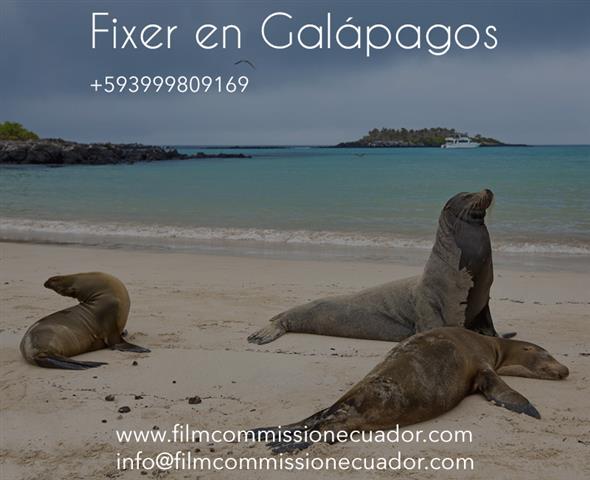 Fixer en Galápagos image 2