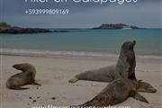 Fixer en Galápagos thumbnail 2