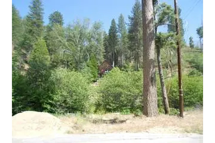 $14500 : Lot Near Lake Arrowhead image 4