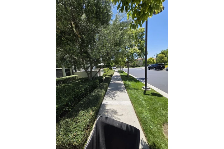 The Bernardinos landscaping image 2