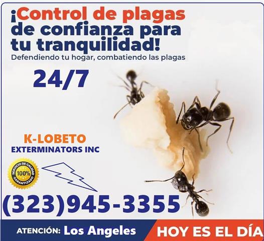 FUMIGACIONES 24/7 PEST CONTROL image 5