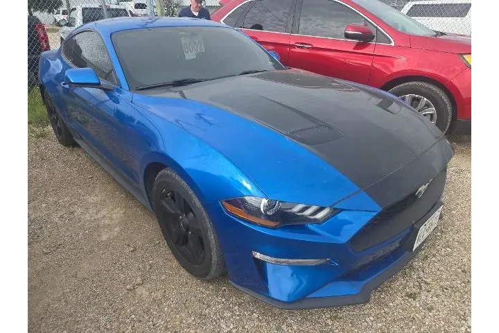 $17307 : Ford Mustang 2019 EcoBoost 2 image 2
