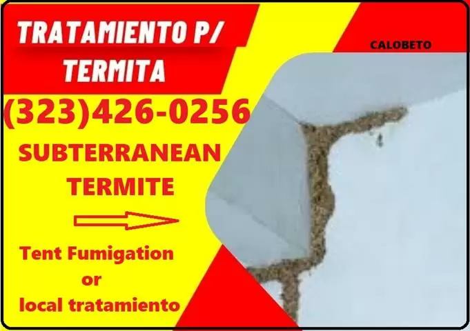 $99 : FUMIGACION TERMITAS-INSPECCION image 8