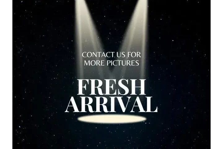 $26948 : Honda Accord 2022 Sport 4dr image 4